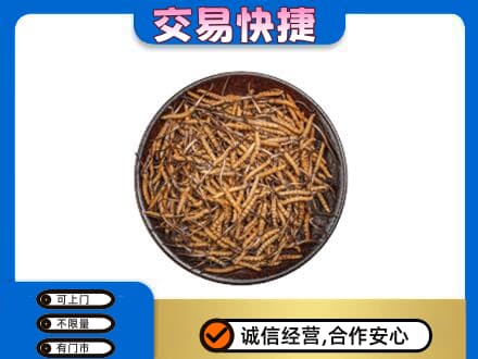 呼和浩特土默特左旗回收散虫草
